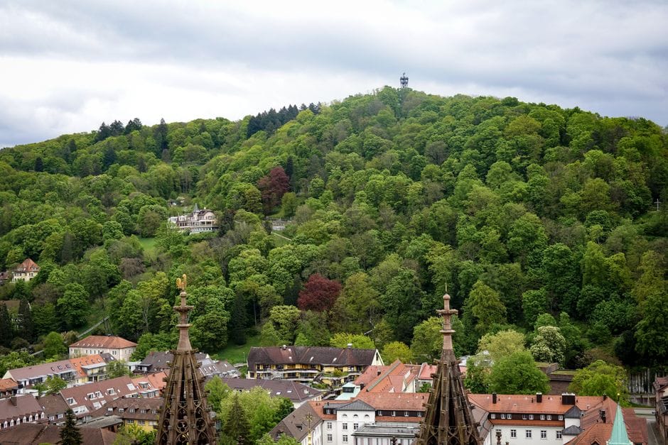 Selva Negra (friburgo) - EUROPA SIN LIMITES