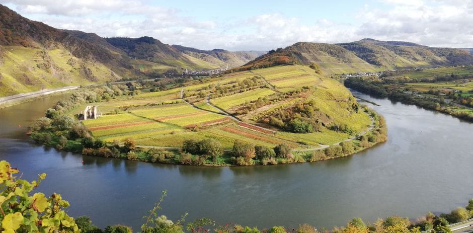 Valle Del Rhin - TODOS A EUROPA
